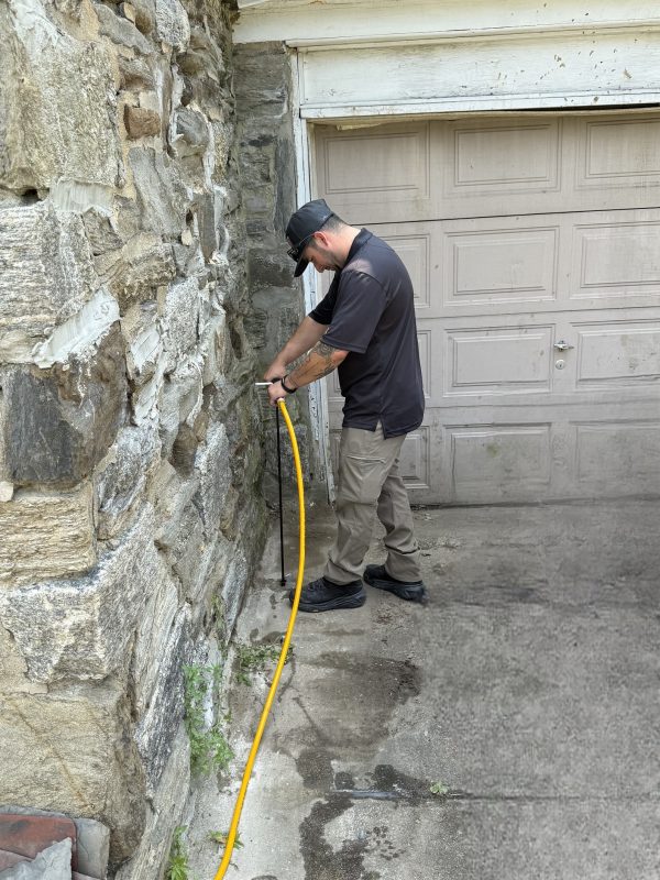 termite exterminators