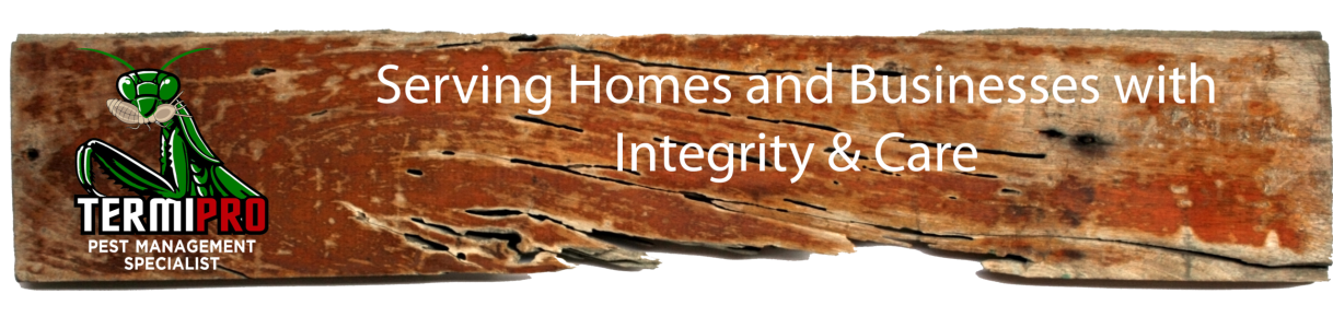termipro pest services termite services termipro pest services termite services